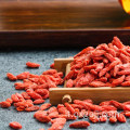 Nutrizione organica della frutta arancione della bacca di goji rossa